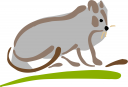 Rodent Clipart