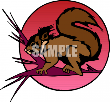 Rodent Clipart