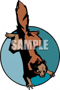 Rodent Clipart