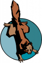 Rodent Clipart