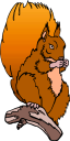 Rodent Clipart