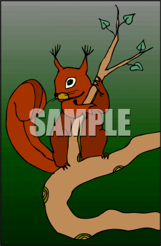 Rodent Clipart