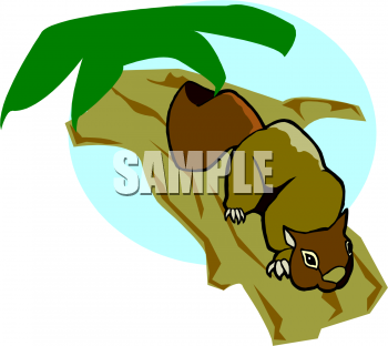 Rodent Clipart