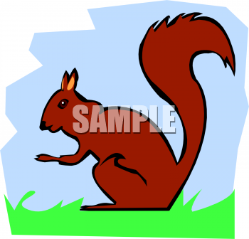 Rodent Clipart