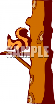 Rodent Clipart