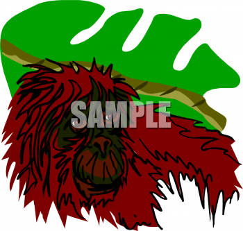 Primate Clipart