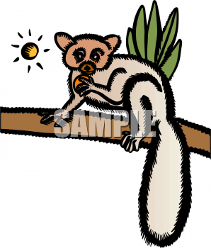 Animal Clipart