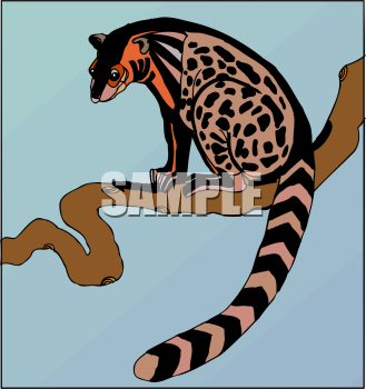 Animal Clipart