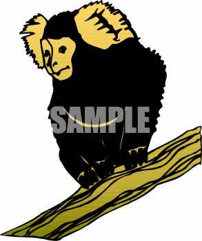 Primate Clipart
