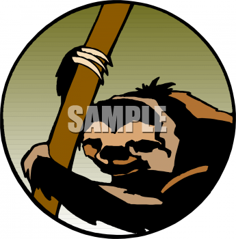 Primate Clipart