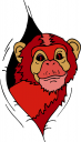 Primate Clipart