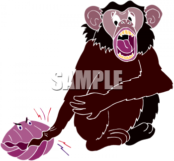 Primate Clipart