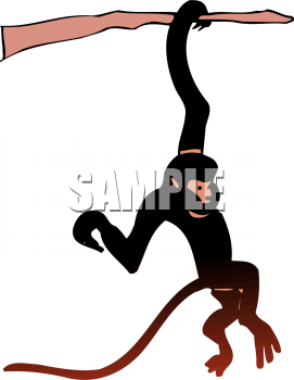 Primate Clipart