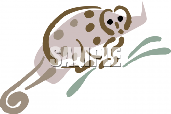 Primate Clipart
