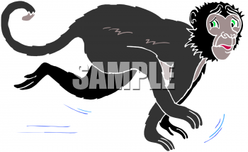 Primate Clipart