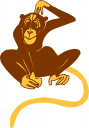 Primate Clipart