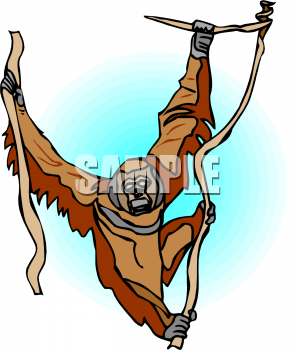 Primate Clipart