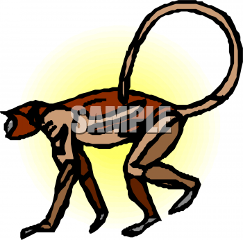Primate Clipart