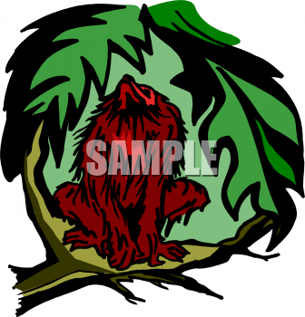Primate Clipart