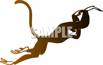 Primate Clipart