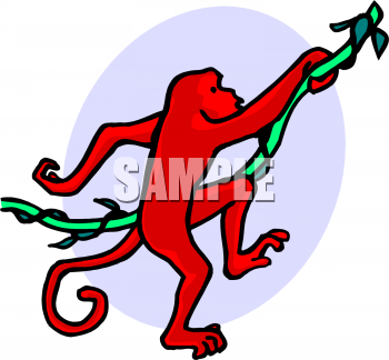 Primate Clipart