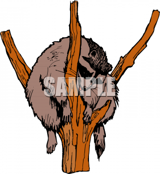 Mammal Clipart