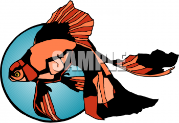 Fish and Sea Life Clipart