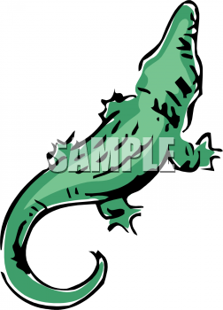 Reptile Clipart