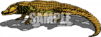 Reptile Clipart