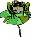 Amphibians Clipart