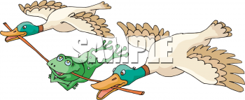 Amphibians Clipart