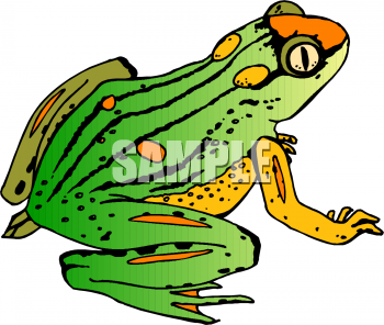 Amphibians Clipart