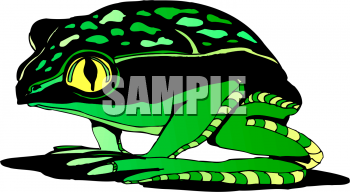 Amphibians Clipart