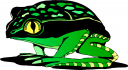Amphibians Clipart