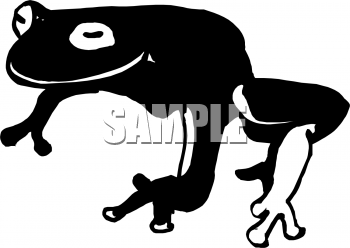 Amphibians Clipart