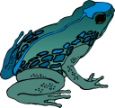 Amphibians Clipart