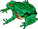 Amphibians Clipart