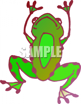 Amphibians Clipart