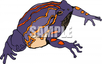 Amphibians Clipart