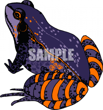 Amphibians Clipart