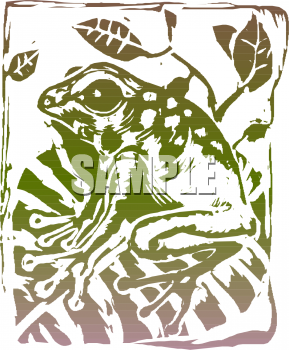 Amphibians Clipart