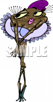 Amphibians Clipart