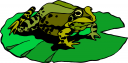 Amphibians Clipart
