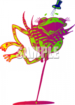 Amphibians Clipart