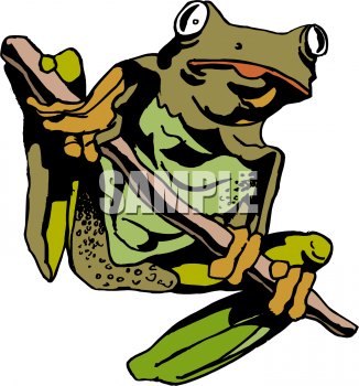 Amphibians Clipart