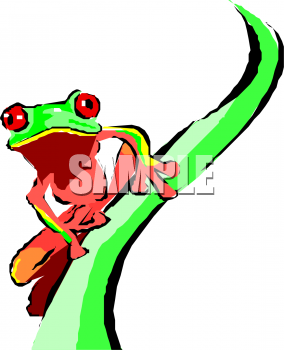 Amphibians Clipart