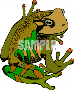 Amphibians Clipart