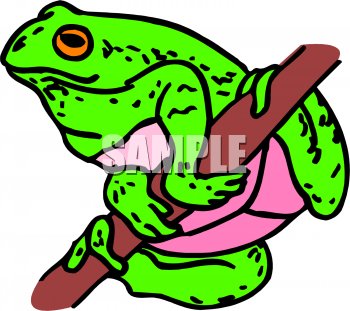 Amphibians Clipart