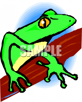 Amphibians Clipart