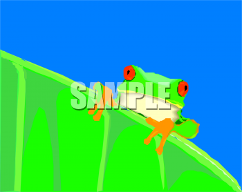 Amphibians Clipart